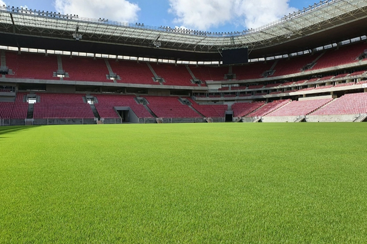 <i>(Foto: Divulgação/Arena de Pernambuco)</i> <i>(Foto: Divulgação/Arena de Pernambuco)</i>