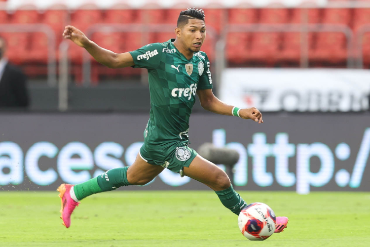 <i>(Foto: Cesar Greco/Palmeiras )</i>