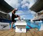 Quatro nadadores lutam por vagas em Tquio a partir desta sexta no Rio de Janeiro