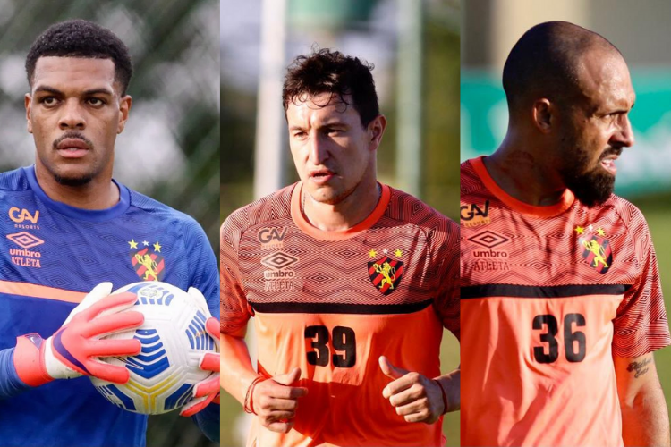 <i>(Foto: Anderson Stevens/Sport Club do Recife)</i>