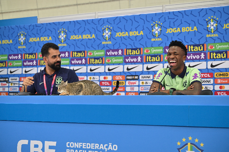 Gato 'invade' entrevista de Vini Jr., que cai na gargalhada; veja