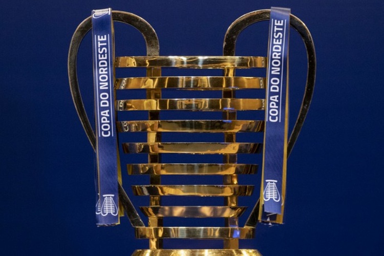 <i>(Foto: Thais Magalhes/CBF)</i>