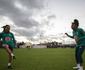 Com passagem de basto, Marta lidera gerao em ltima Copa do Mundo