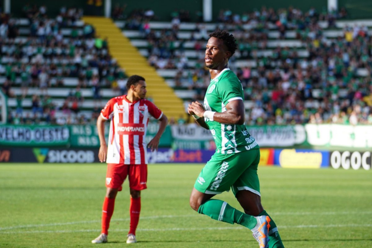 <i>(Foto: Tiago Meneghini/ACF)</i> <i>(Foto: Tiago Meneghini/ACF)</i>