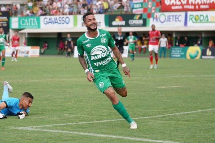 <i>(Foto: Tiago Meneghini/ACF)</i> <i>(Foto: Tiago Meneghini/ACF)</i>