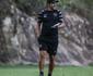 Lcio Flvio deixar comando tcnico do Botafogo, que busca substituto