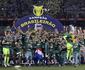 Palmeiras empata e fatura o seu 12 ttulo brasileiro da Srie A