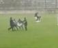 Vdeo: jogadores so socorridos aps raio atingir gramado no Paran