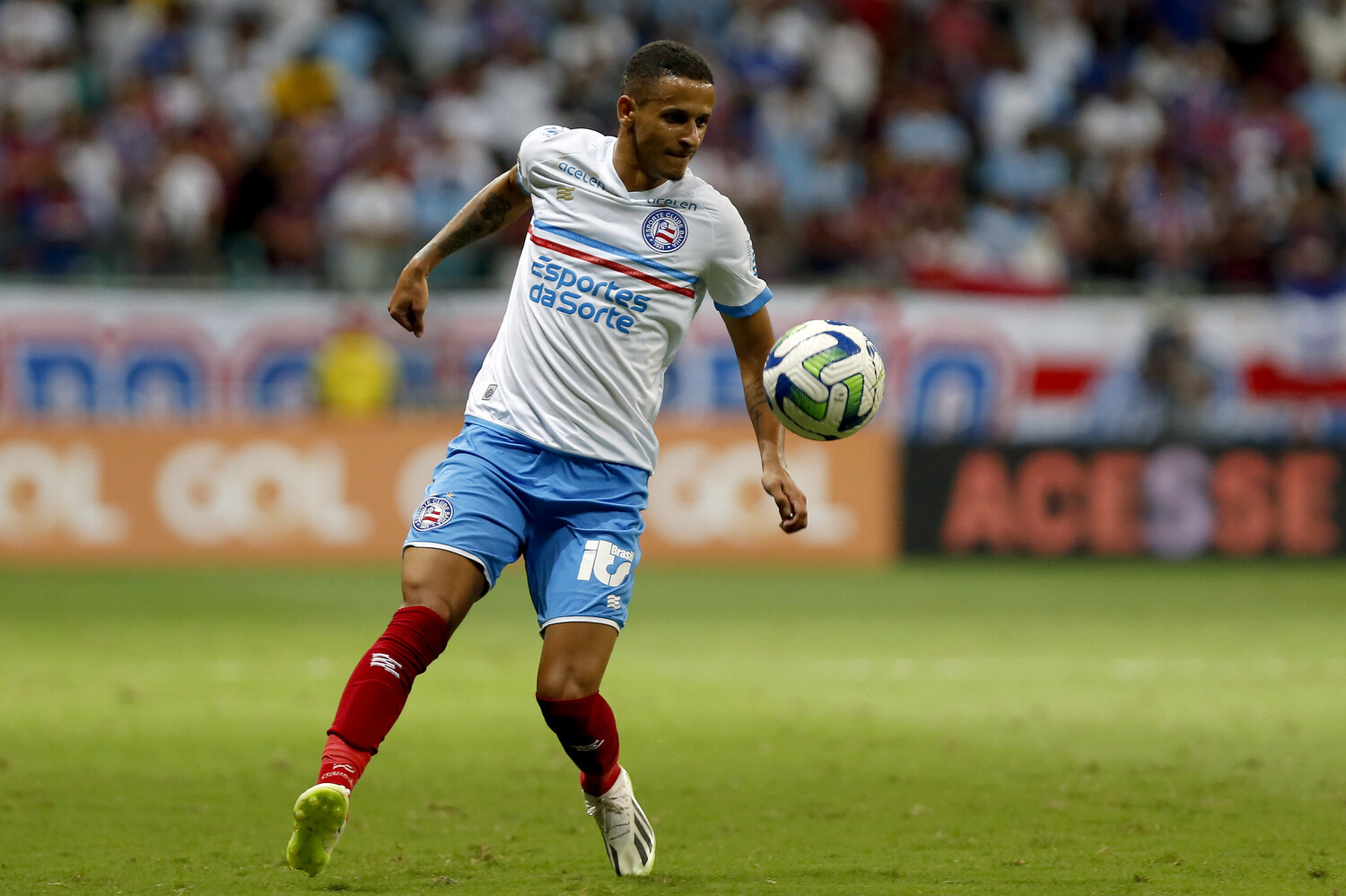 <i>(Foto: FELIPE OLIVEIRA/BAHIA)</i> <i>(Foto: FELIPE OLIVEIRA/BAHIA)</i>