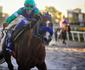 Programao especial agita Jockey Club de Pernambuco neste sbado 
