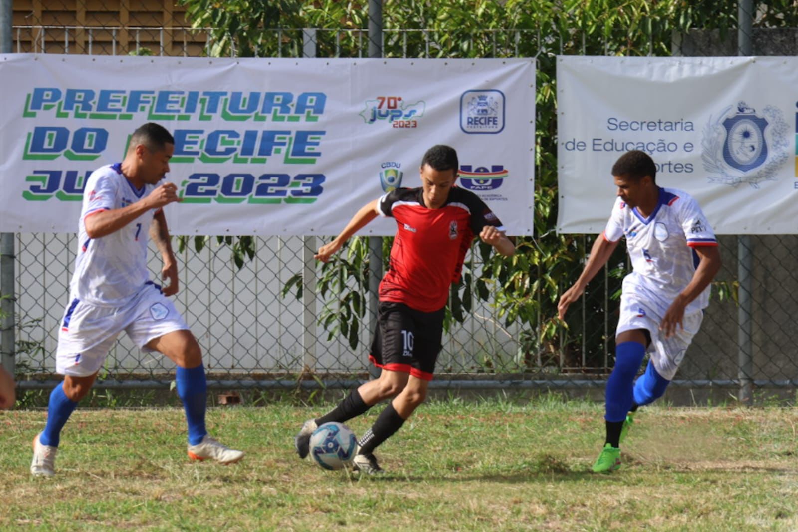<i>(Foto: Chico Peixoto / FAPE)</i> <i>(Foto: Chico Peixoto / FAPE)</i>