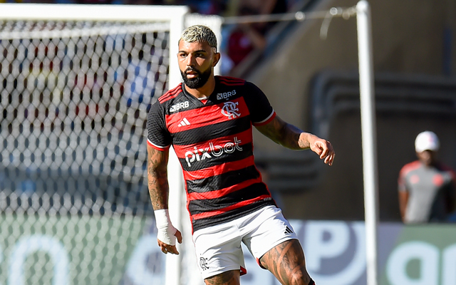 <i>(Foto: Marcelo Cortes / Flamengo)</i>
