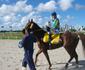 Jockey Club de Pernambuco abre temporada 2024/2025 neste sbado 
