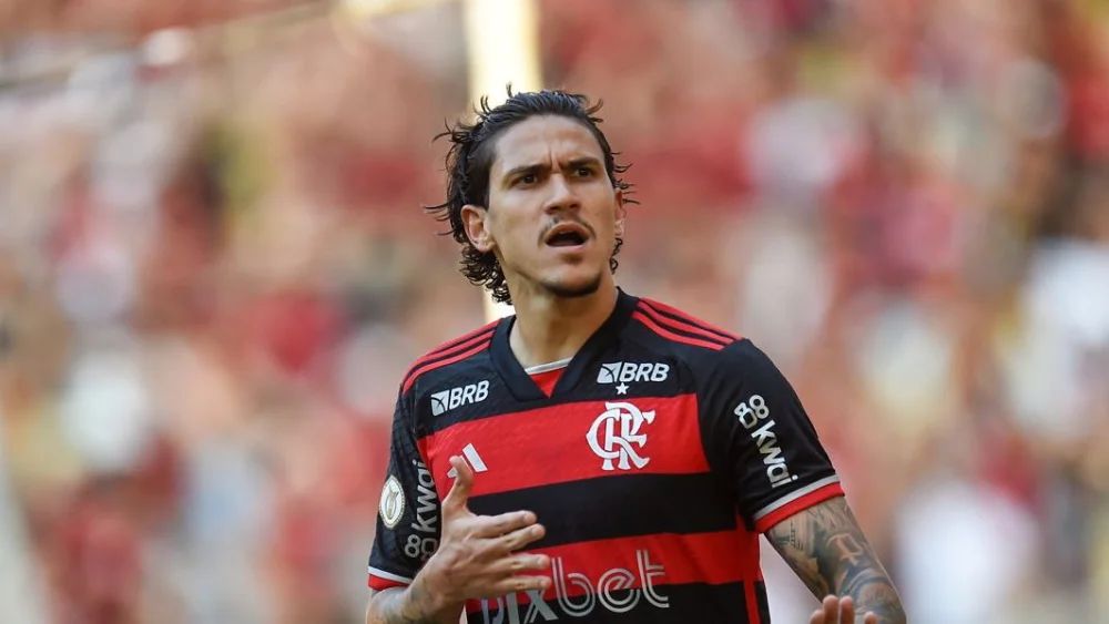 <i>(Foto: Marcelo Cortes / Flamengo)</i>