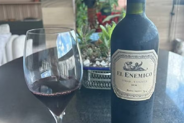 Com taa de vinho, ex-presidente do Nutico celebra resultado na Justia contra Hlio dos Anjos