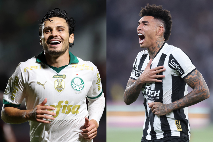 Palmeiras x Botafogo: veja onde assistir ao confronto que pode definir o futuro campeo da Srie A