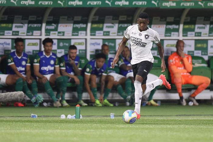 <i>(Foto: Vtor Silva/Botafogo)</i>