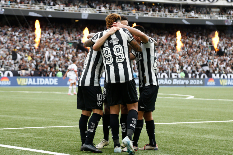 Botafogo consagra ano glorioso com ttulo do Brasileiro 2024