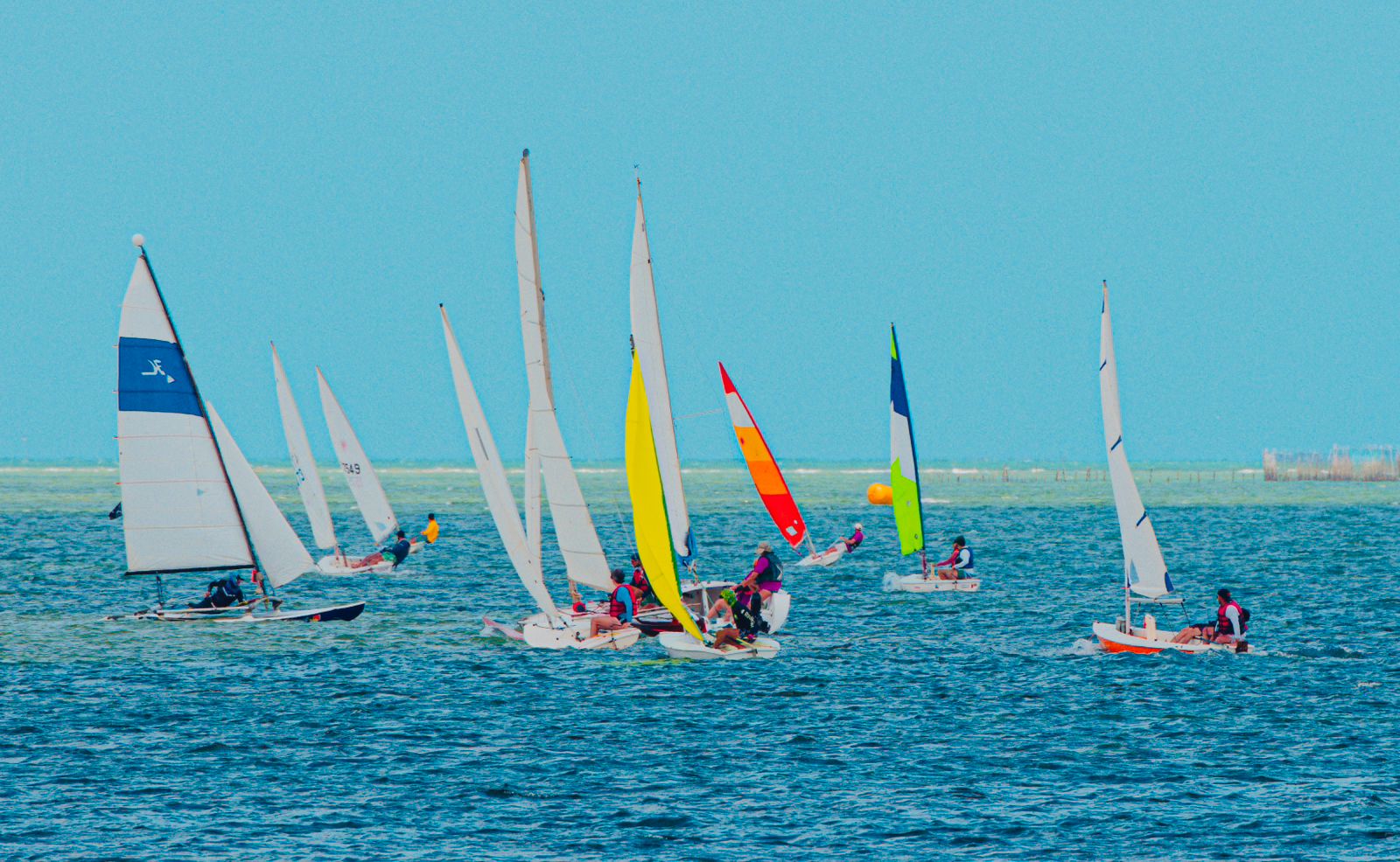 <i>(Foto: Gadelharia)</i>