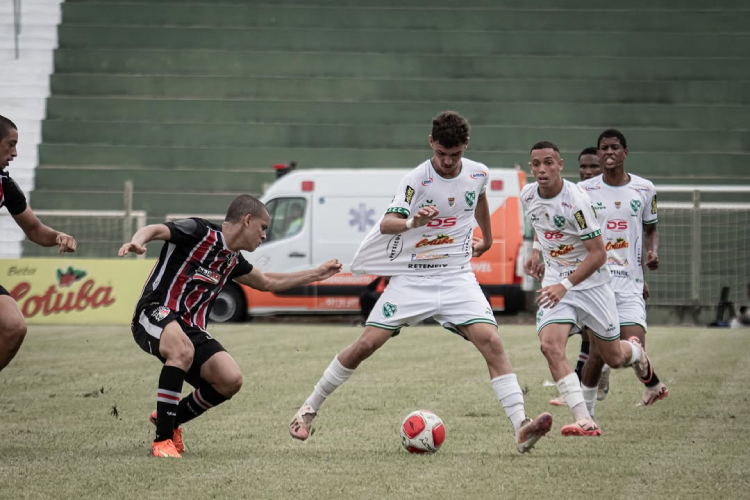 <i>(Foto: MARCELO CHAGAS/TANABI)</i>