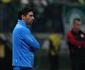 Abel Ferreira reconhece problema de 'articulao' na grama sinttica e critica campos no Brasil