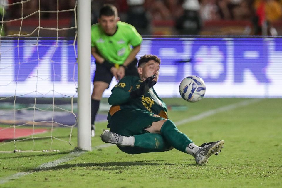 <i>(Foto: Rafael Vieira/ FPF)</i>