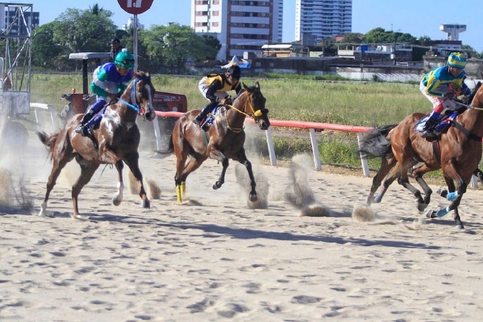 <i>(Foto: Rômulo Chico/Arquivo DP )</i> <i>(Foto: Rômulo Chico/Arquivo DP )</i>