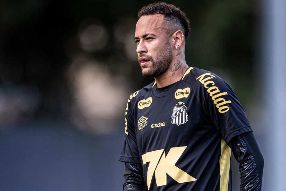 <i>(Foto: Raul Baretta/ Santos FC)</i>