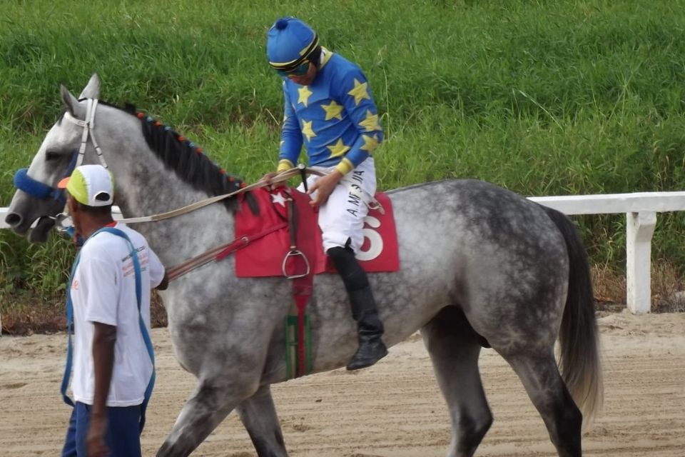 <i>(Foto: Divulgação )</i> <i>(Foto: Divulgação )</i>